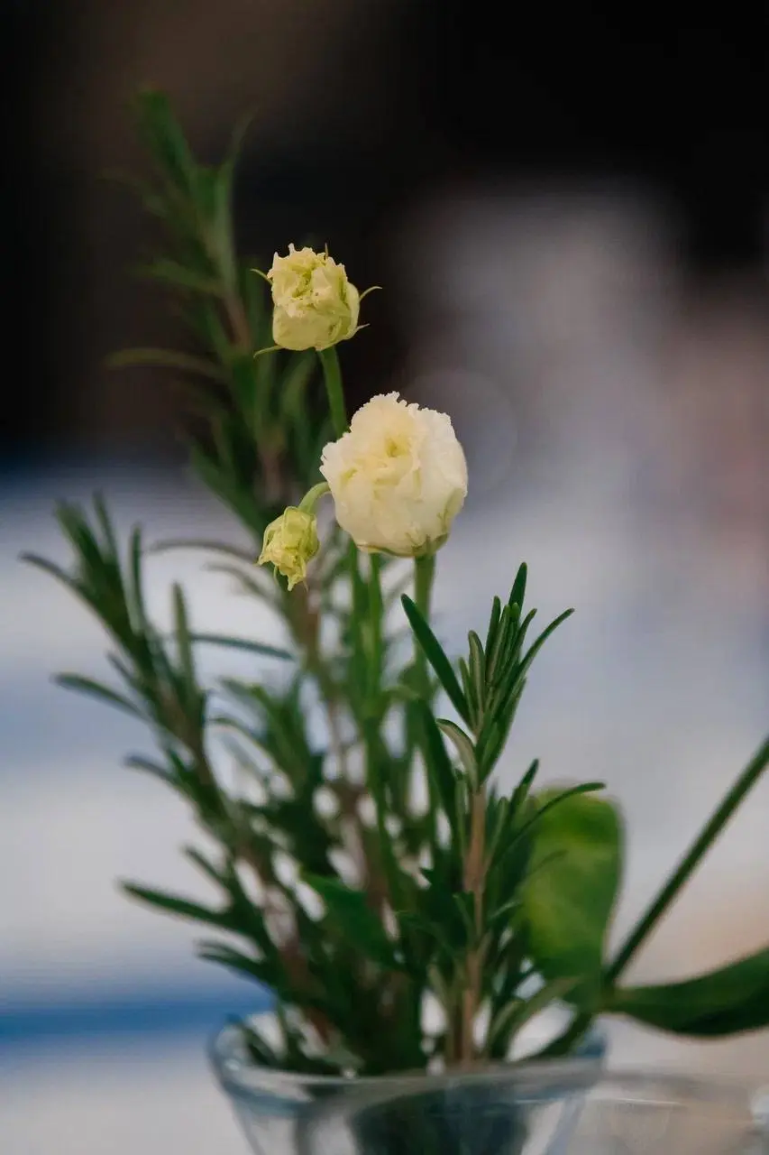 Выходные выдались насыщенными!
Кадры субботнего мастер-класса по столовому этикету. Удивительно теплая собралась компания💙🙏🏻 | Сетка — социальная сеть от hh.ru