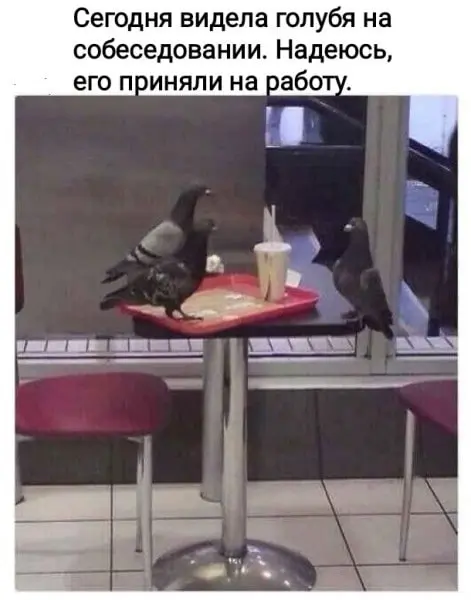 Понедельник | Сетка — социальная сеть от hh.ru