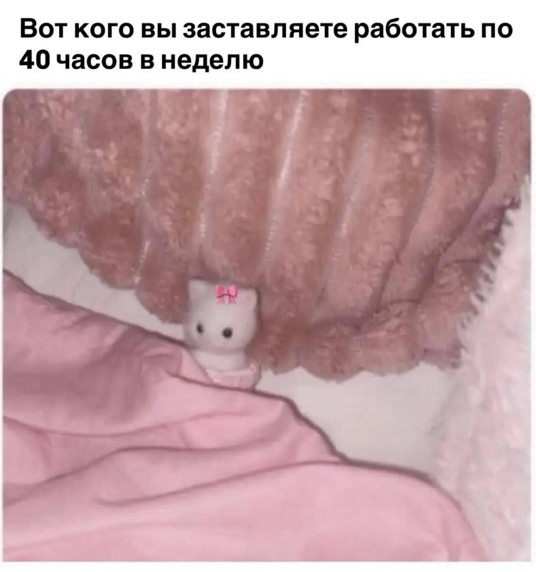 Кать, ну сдалось тебе это всё? Пойдем поспим | Сетка — социальная сеть от hh.ru