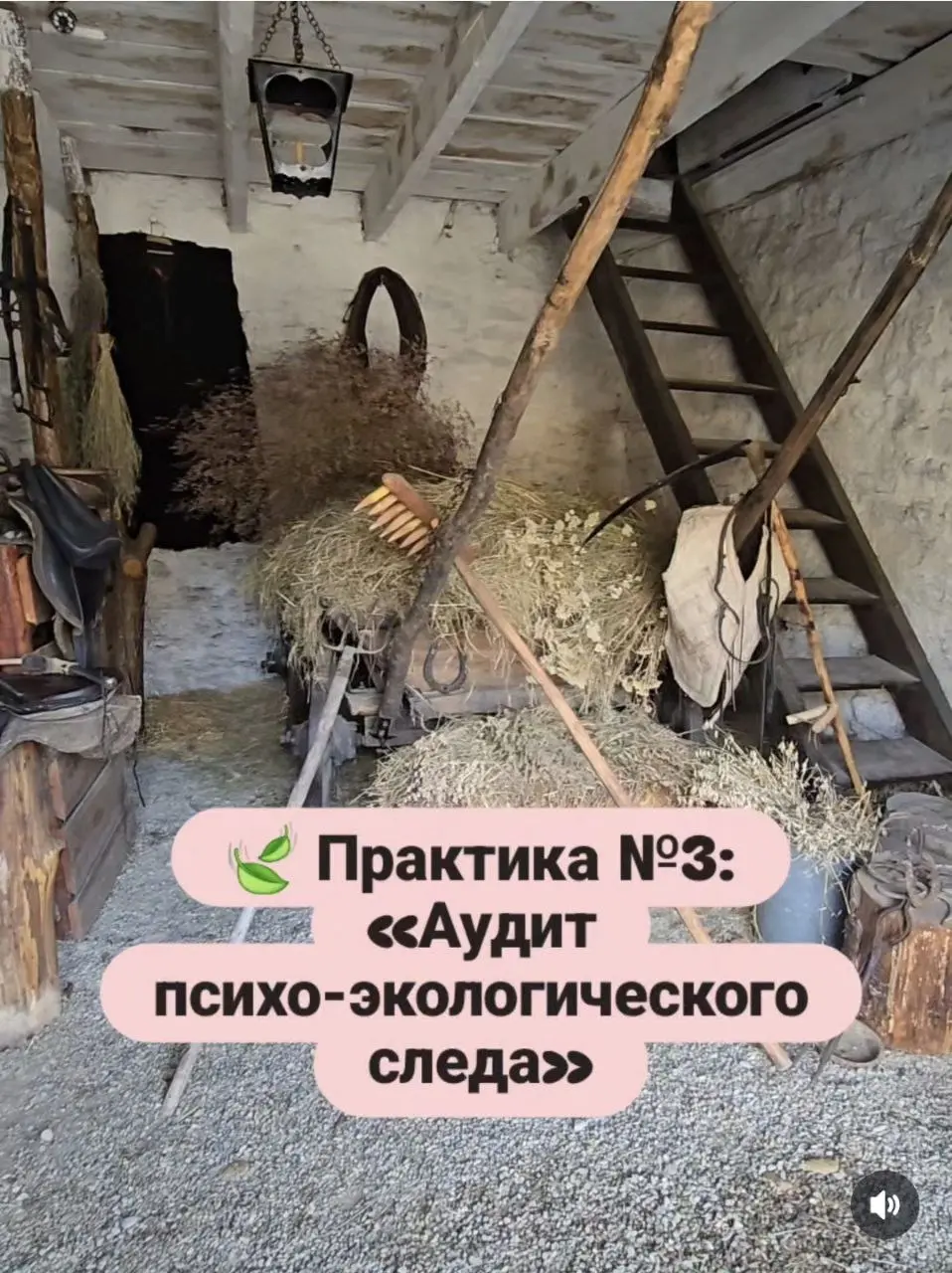 🍃 Практика №3: «Аудит психо-экологического следа»
Мы знаем про углеродный след. Но у каждого нашего действия, мысли и даже эмоции есть психо-экологический след | Сетка — социальная сеть от hh.ru
