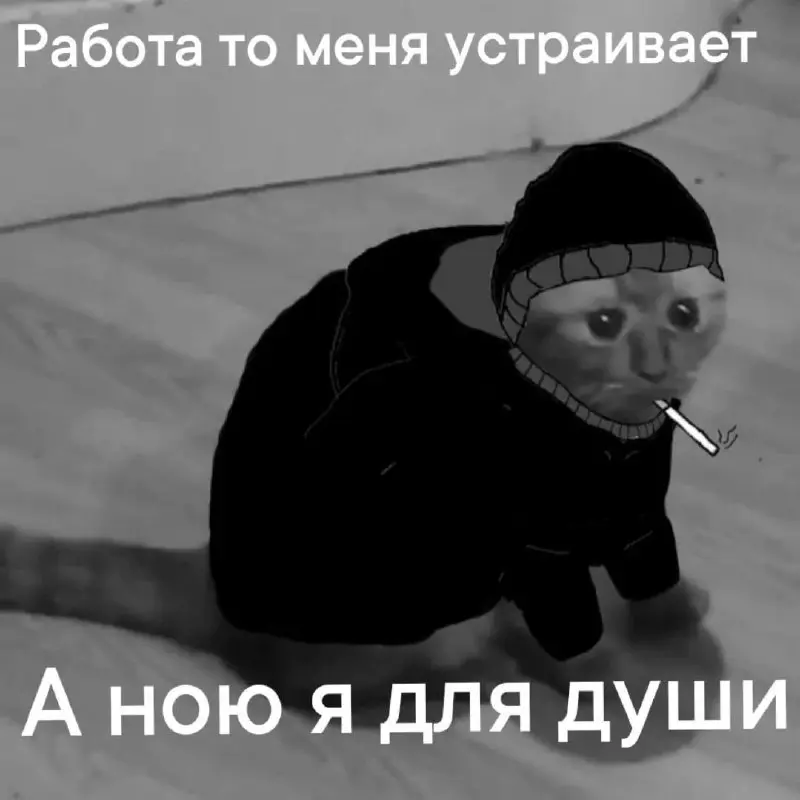 #IT
😂 ПМ 🛍 Другие каналы
В этом посте были ссылки, но мы их удалили по правилам Сетки | Сетка — социальная сеть от hh.ru