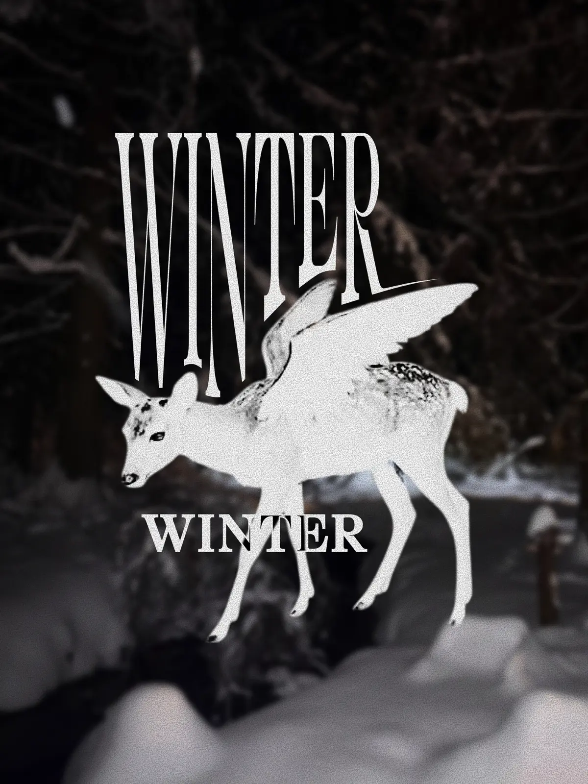 в галерее столько красивых фото, а выкладывать некуда | Сетка — социальная сеть от hh.ru