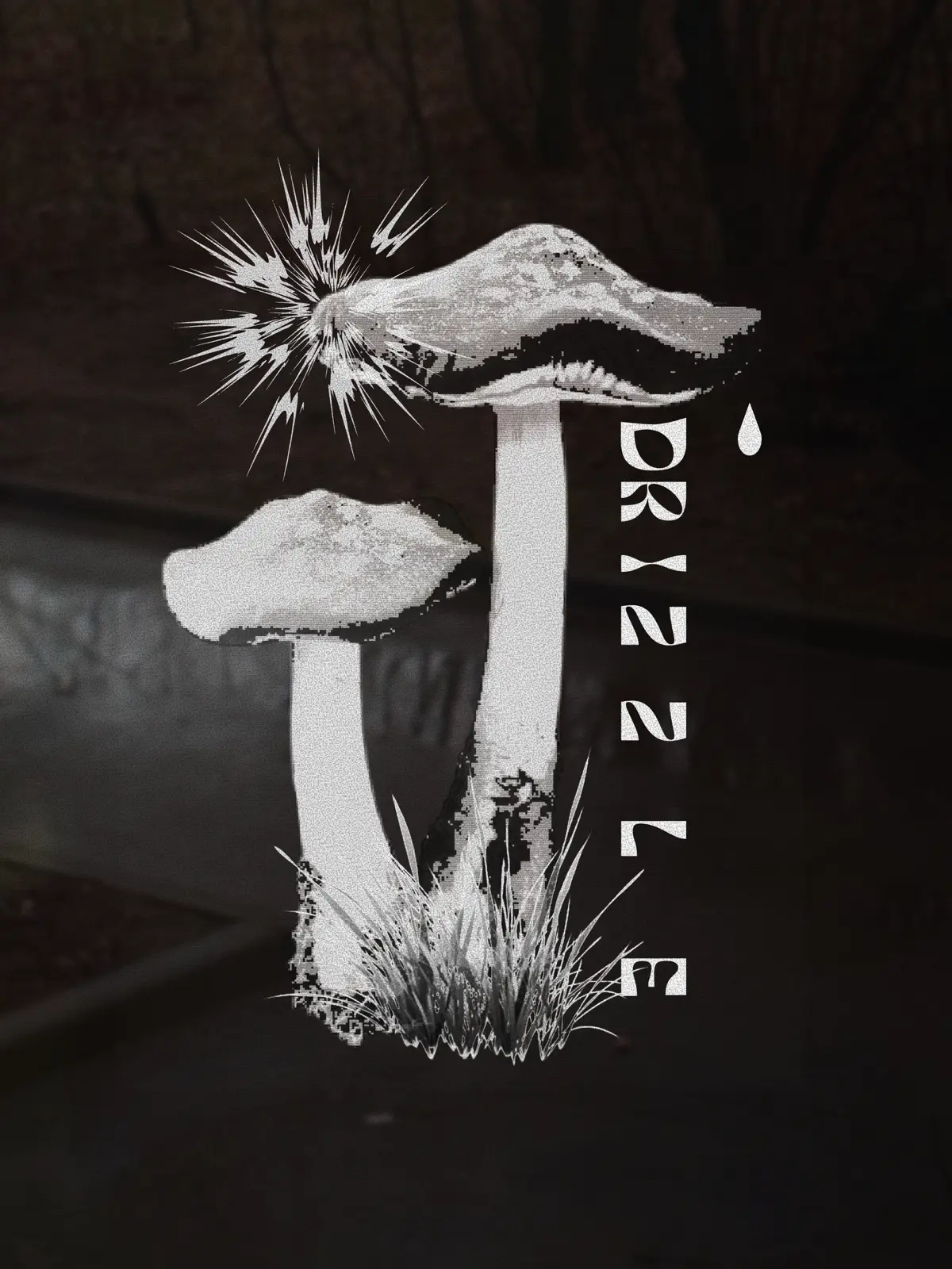 в галерее столько красивых фото, а выкладывать некуда | Сетка — социальная сеть от hh.ru