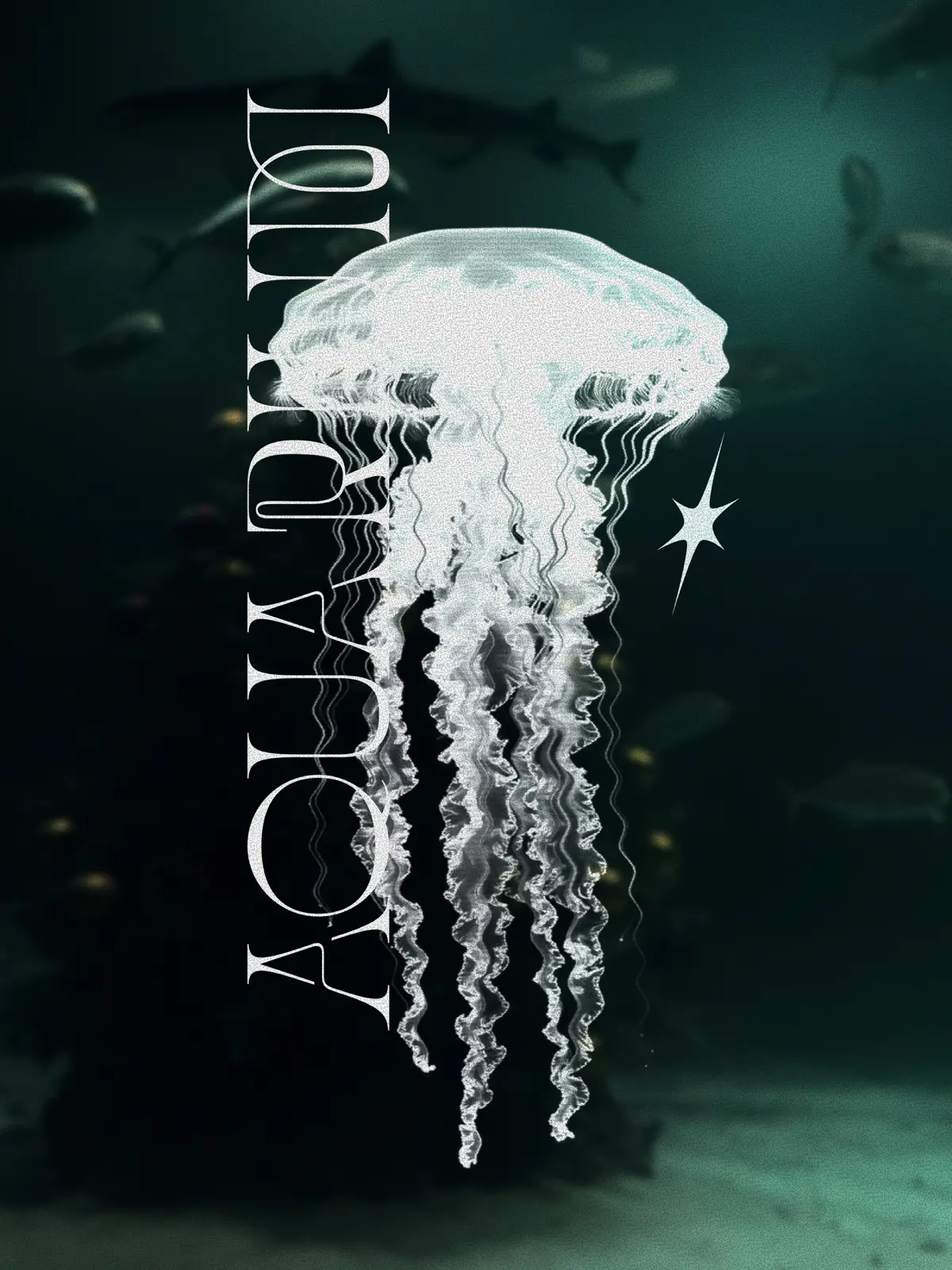 в галерее столько красивых фото, а выкладывать некуда | Сетка — социальная сеть от hh.ru