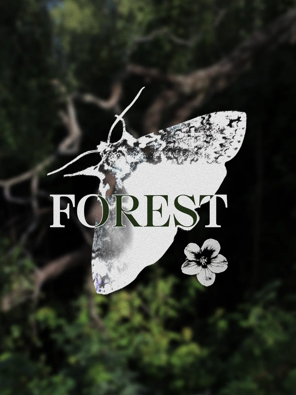 в галерее столько красивых фото, а выкладывать некуда | Сетка — социальная сеть от hh.ru