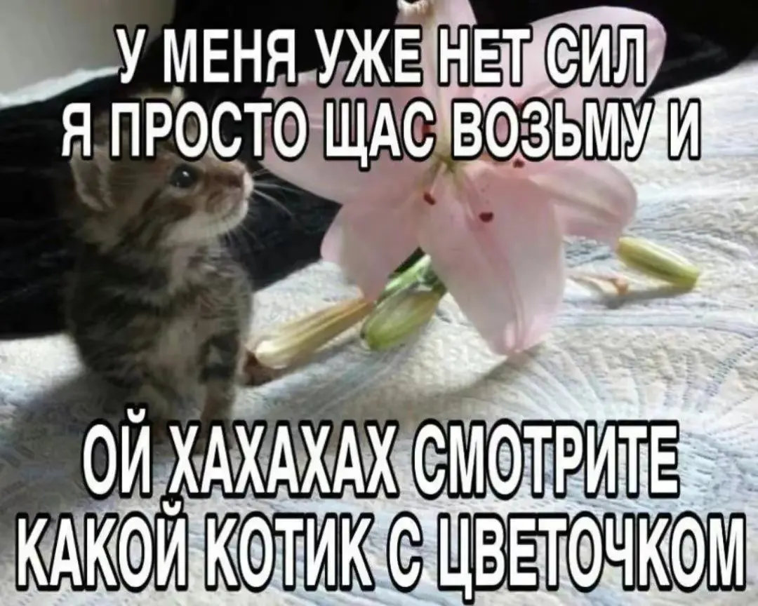 От ручного труда к Битриксу | Сетка — социальная сеть от hh.ru