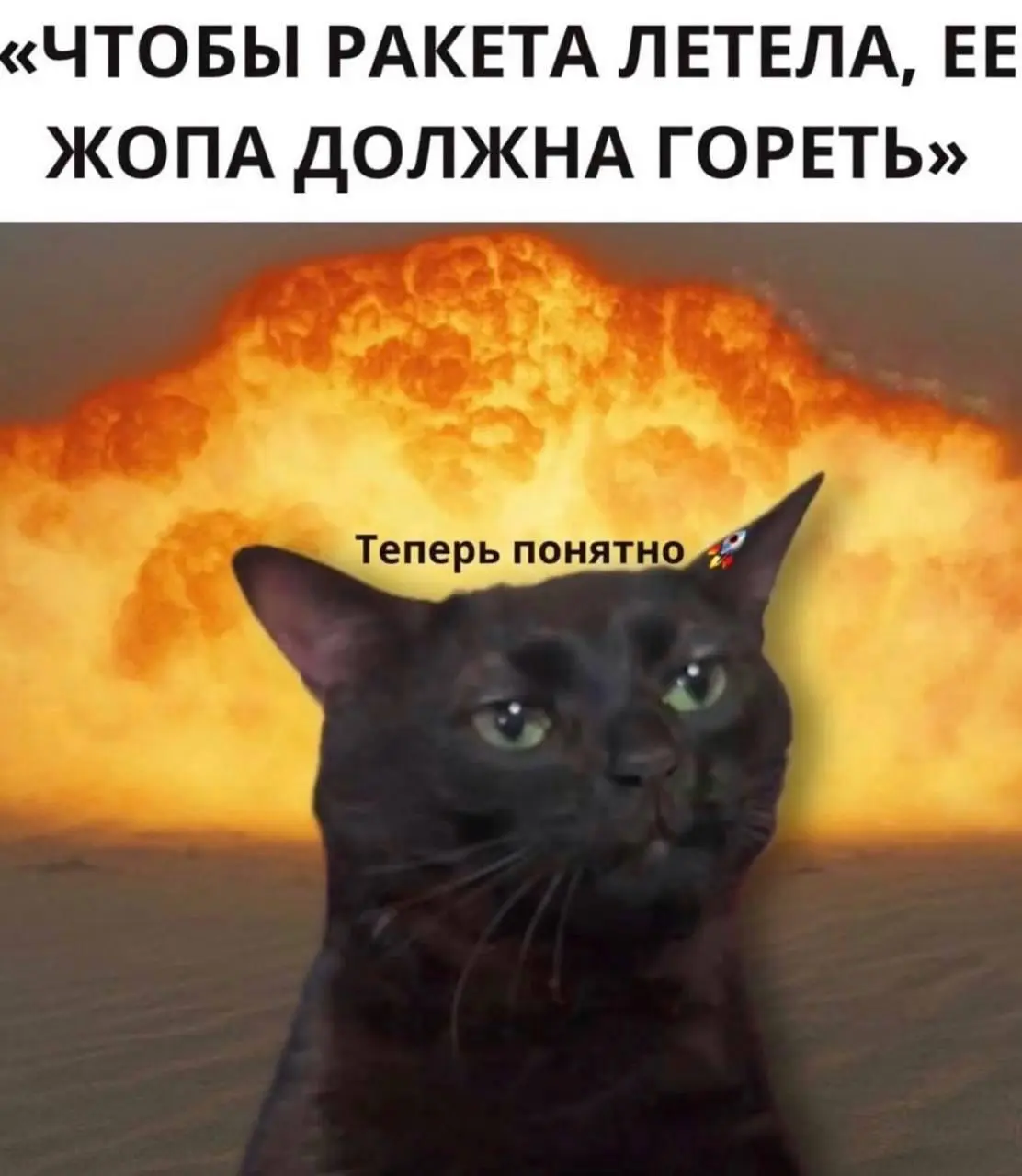 Мотивация лида на этот понедельник.. | Сетка — социальная сеть от hh.ru