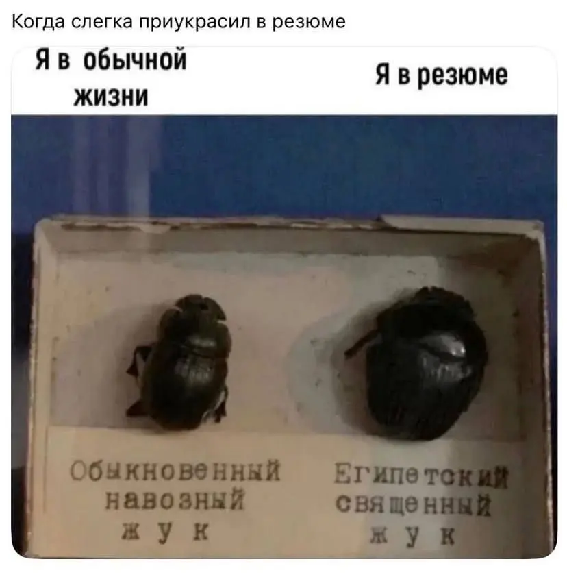Немного юмора) | Сетка — социальная сеть от hh.ru