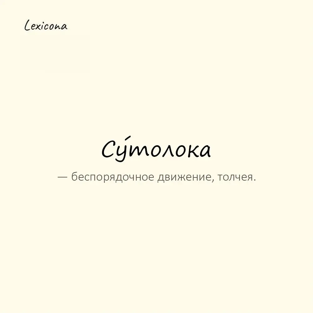 Су́толока — беспорядочное движение, толчея.
Пример употребления:
В коридоре началась настоящая сутолока. | Сетка — социальная сеть от hh.ru