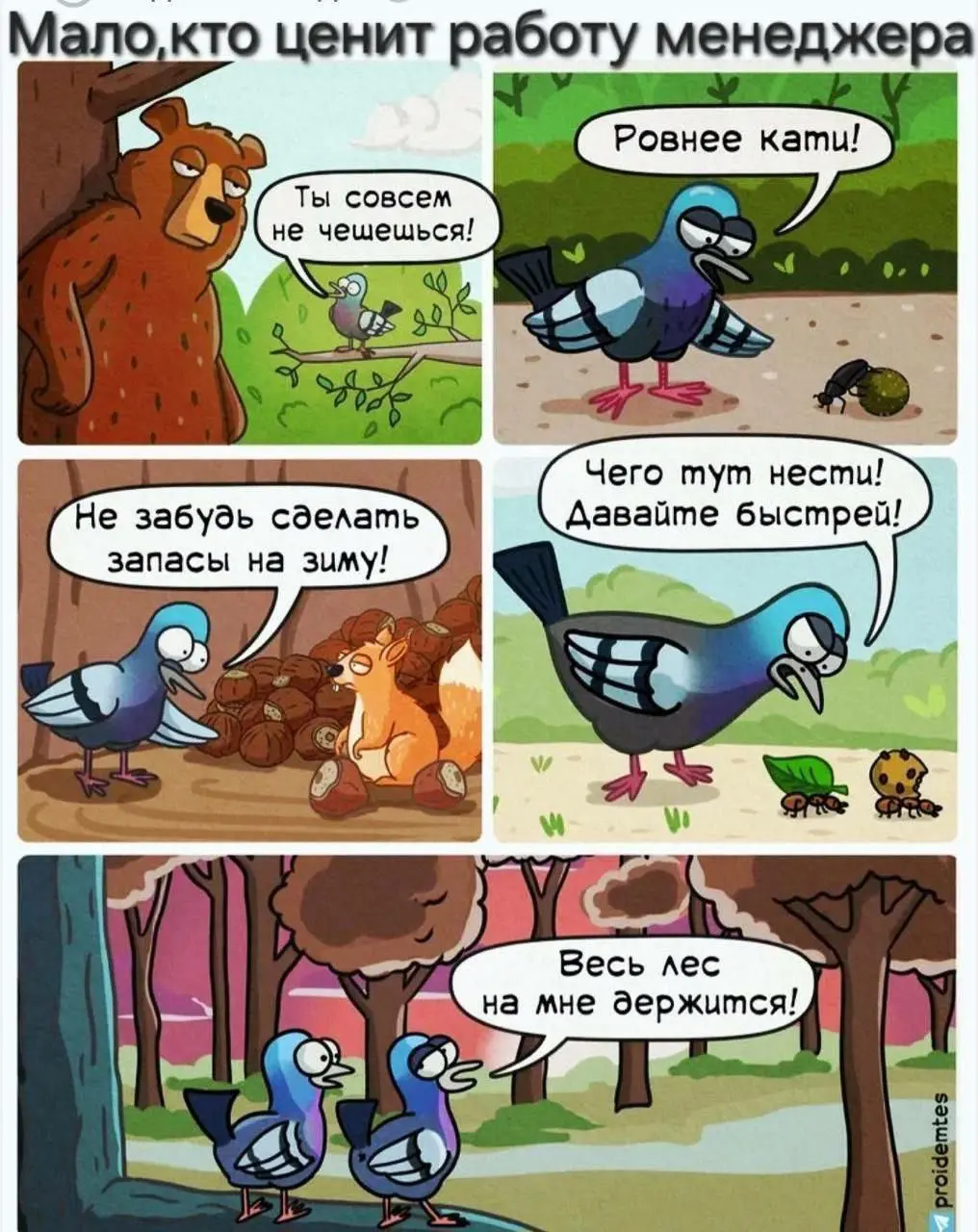 Не будьте такими | Сетка — социальная сеть от hh.ru