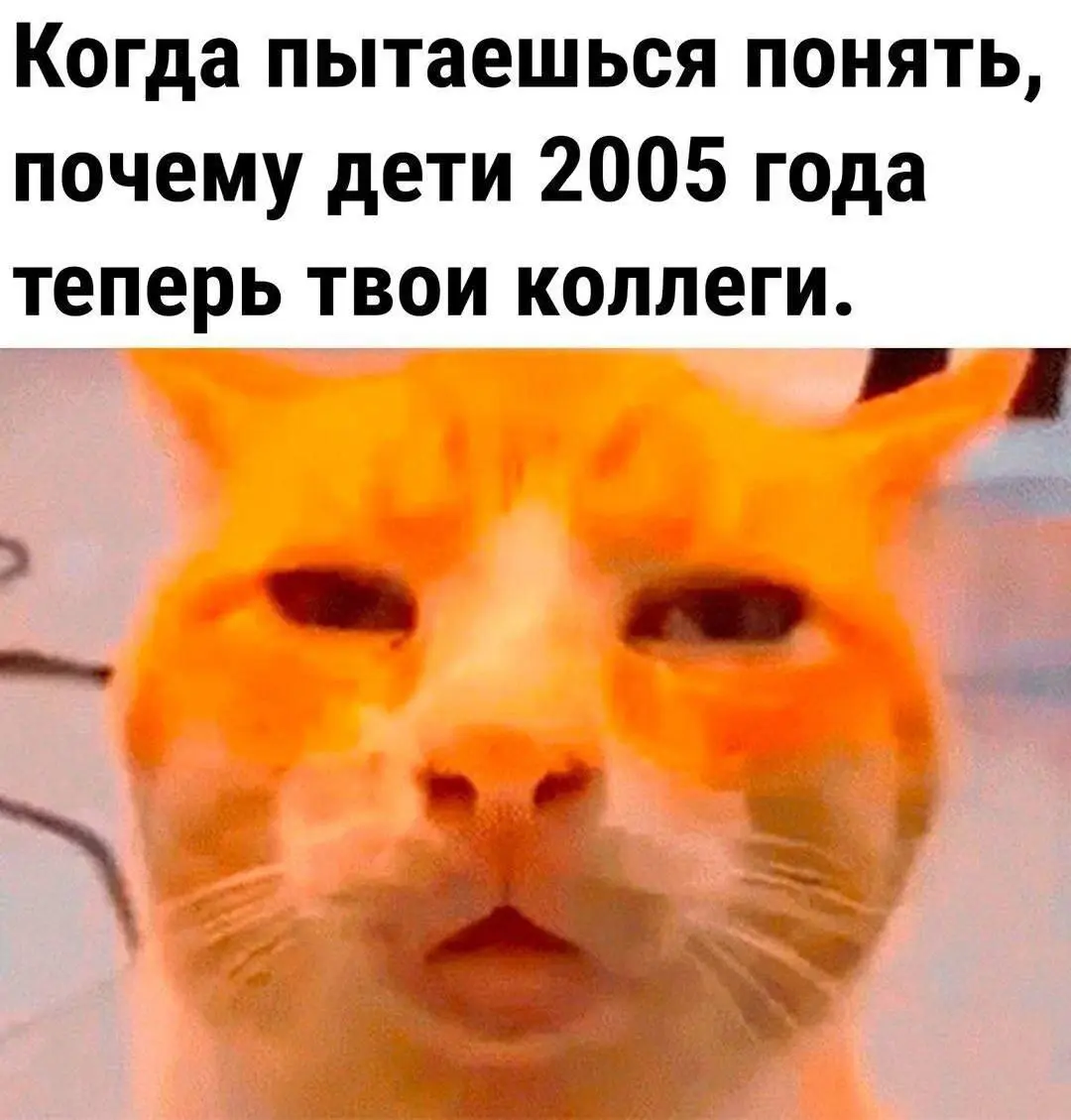 С началом новой трудовой недели🙃 | Сетка — социальная сеть от hh.ru