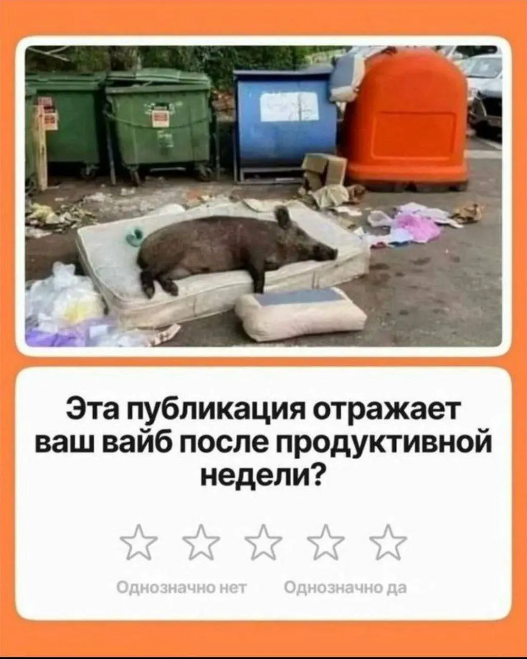 Убежище от токсичных заказчиков. Присоединяйся 🍺 | Сетка — социальная сеть от hh.ru
