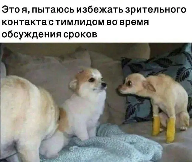 Подписка оформляется быстрее, чем ты пьешь кофе 😎 | Сетка — социальная сеть от hh.ru