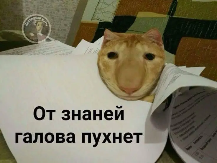 Почему «я всё знаю, но волнуюсь» — плохая стратегия
Нервничать — нормально.
Не готовиться — нет.
Большинство отказов — не из-за незнания,
а из-за потери фокуса на интервью | Сетка — социальная сеть от hh.ru