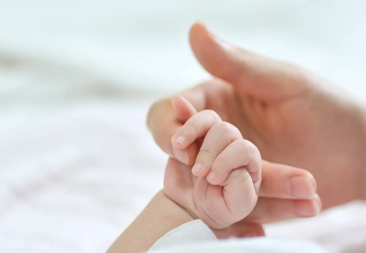 🤱🏻 В Ставрополе за неделю родилось 170 детей
На свет появились 90 мальчиков и 80 девочек, сообщили в пресс-службе краевого минздрава | Сетка — социальная сеть от hh.ru