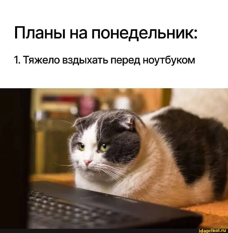 Как ваш понедельник?
Следуете такому плану? 🥹
✉️ Подписывайтесь на БухNews
В этом посте были ссылки, но мы их удалили по правилам Сетки | Сетка — социальная сеть от hh.ru