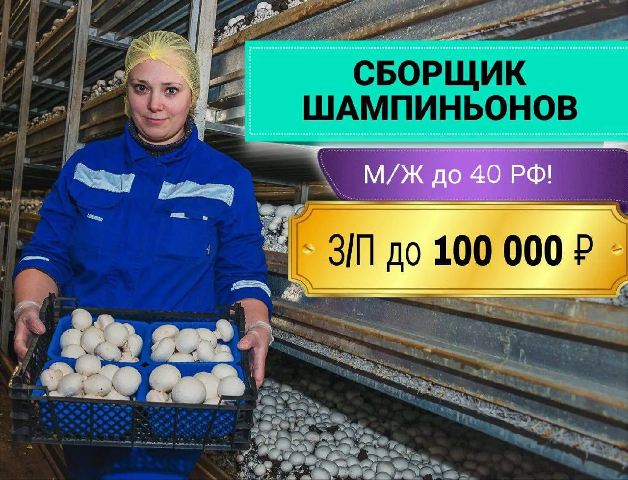 РАБОТНИК НА ПРОИЗВОДСТВЕ ШАМПИНЬОНОВ
До 100 000₽
Производство шампиньонов
• г.Кашира Московская обл
• Производство
• @FisherKO
Jober - удобный mini app с быстрым доступом к вакансиям | Сетка — социальная сеть от hh.ru