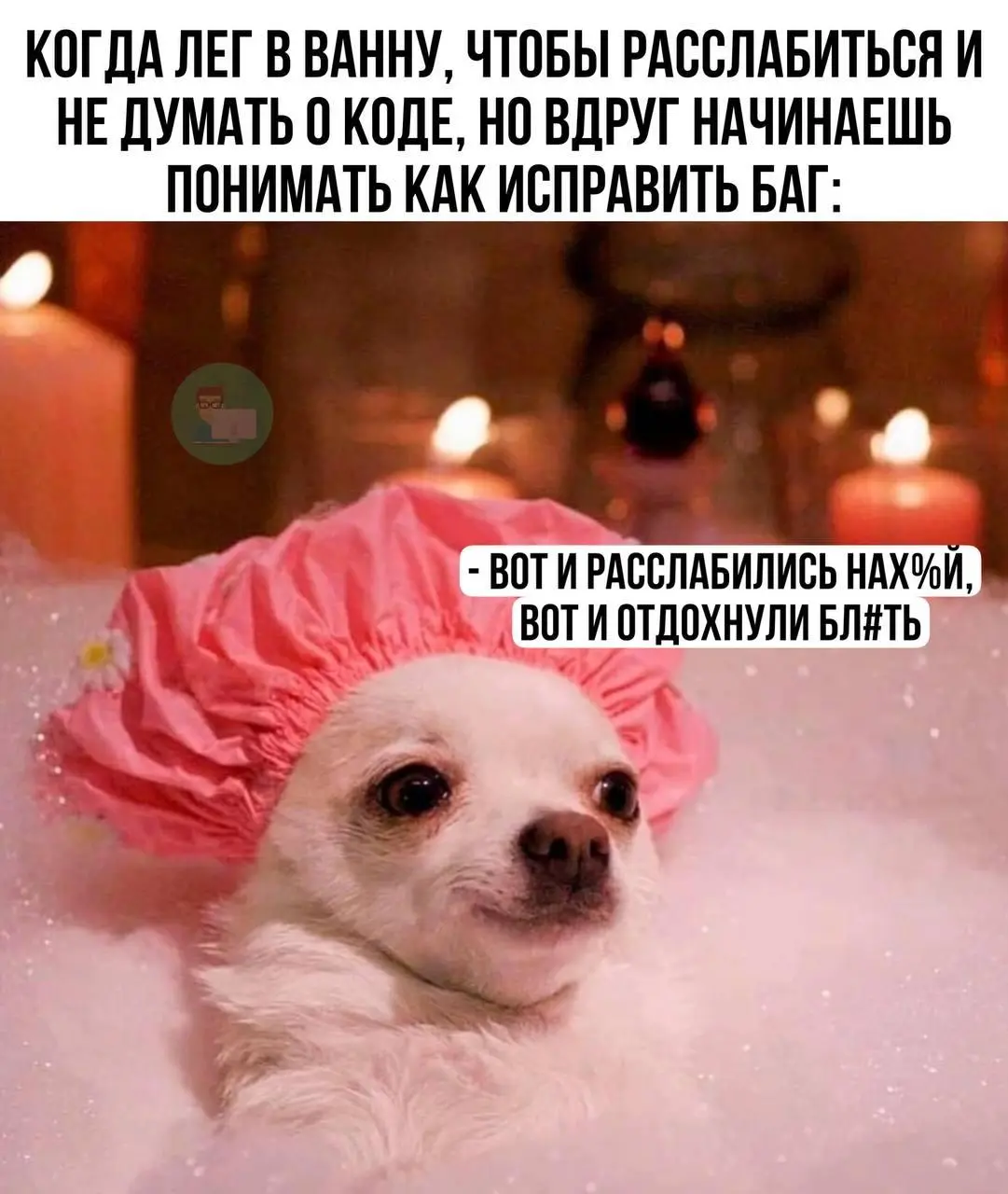 #IT
😂 ПМ 🛍 Другие каналы
В этом посте были ссылки, но мы их удалили по правилам Сетки | Сетка — социальная сеть от hh.ru