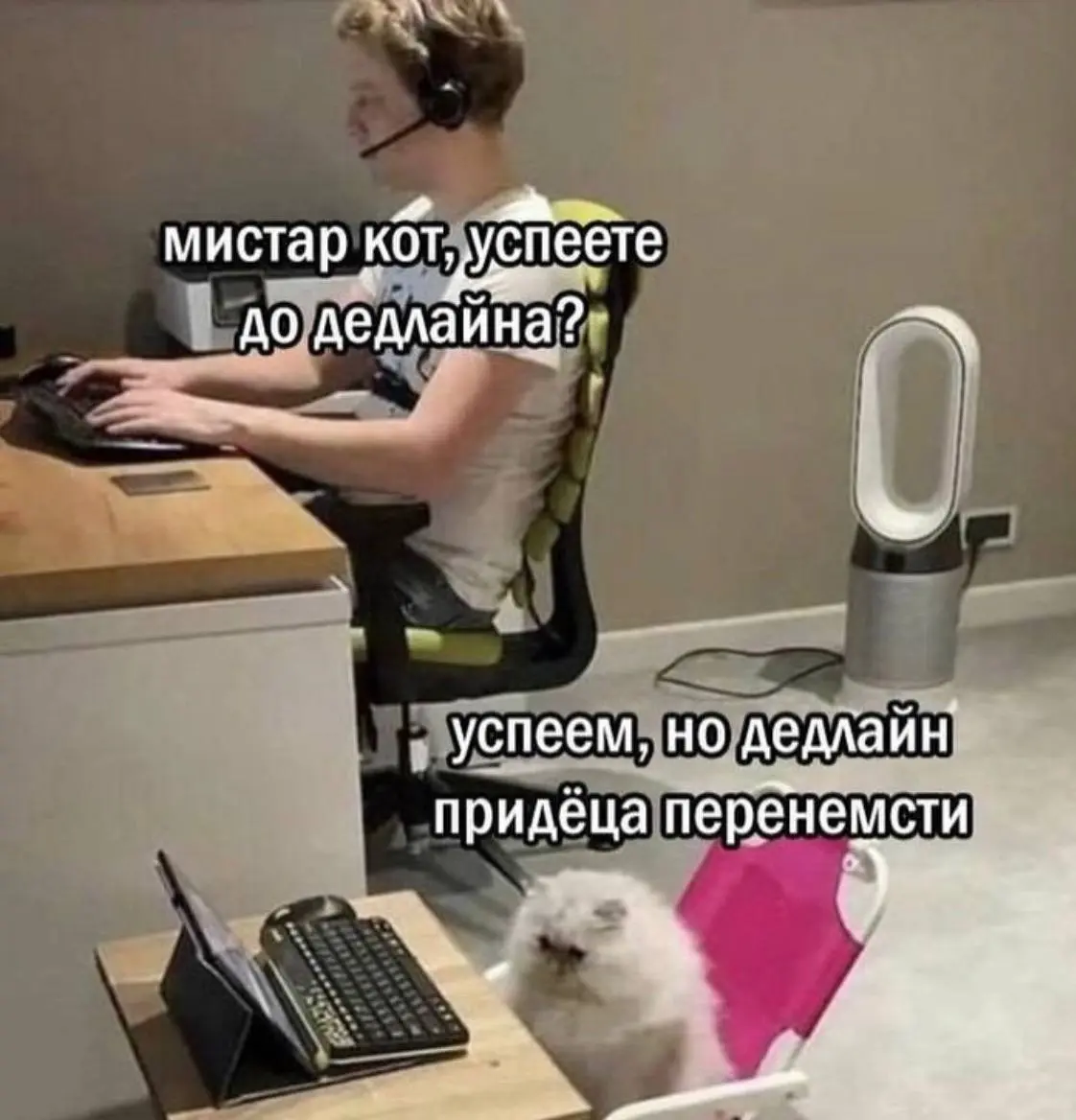 Кто такой же кот? 😁 | Сетка — социальная сеть от hh.ru