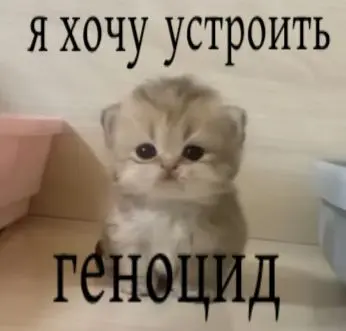 про тестовые | Сетка — социальная сеть от hh.ru