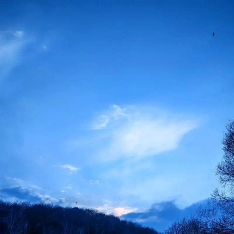 Татьяна Бохан