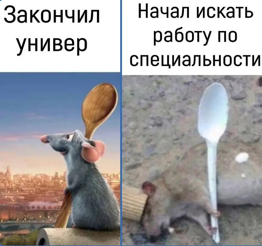 даже можно сказать не «начал», а «поработал» 😁 | Сетка — социальная сеть от hh.ru
