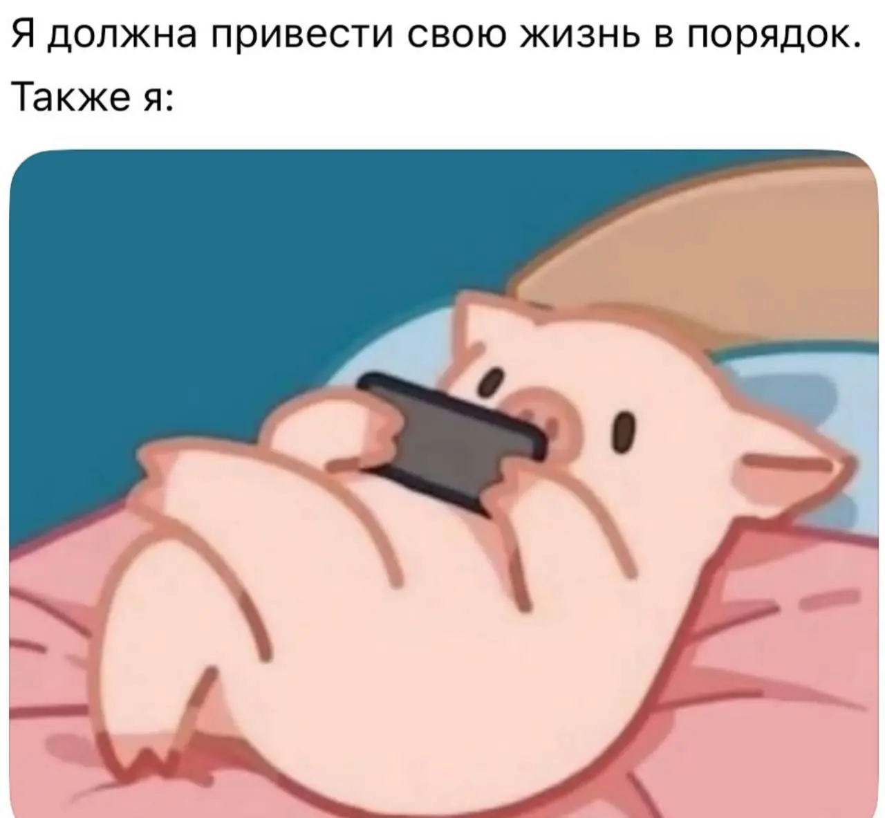 Как заложить почву для нового места работы?
Спящий январь уже закончился и наступил активный февраль ❄️
Как использовать это время с пользой, чтобы заложить почву для поиска работы без привязки к вака... | Сетка — социальная сеть от hh.ru