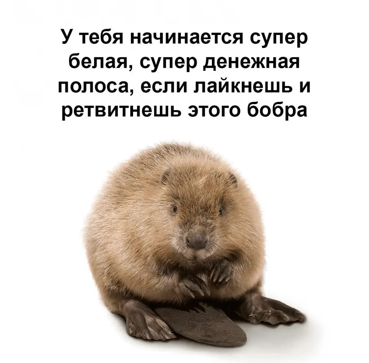 Сетка — социальная сеть от hh.ru