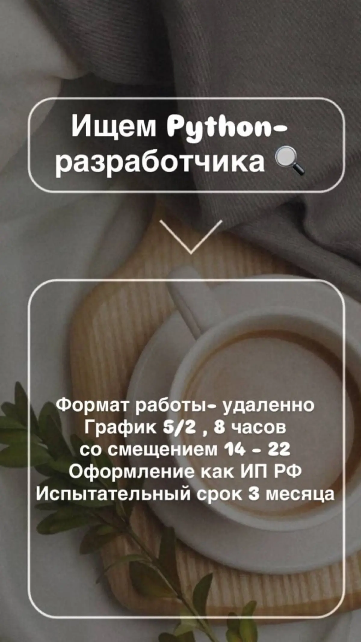 🚀 Вакансия: Senior Python Developer | Сетка — социальная сеть от hh.ru