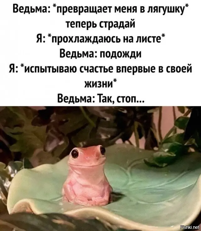 Научила | Сетка — социальная сеть от hh.ru