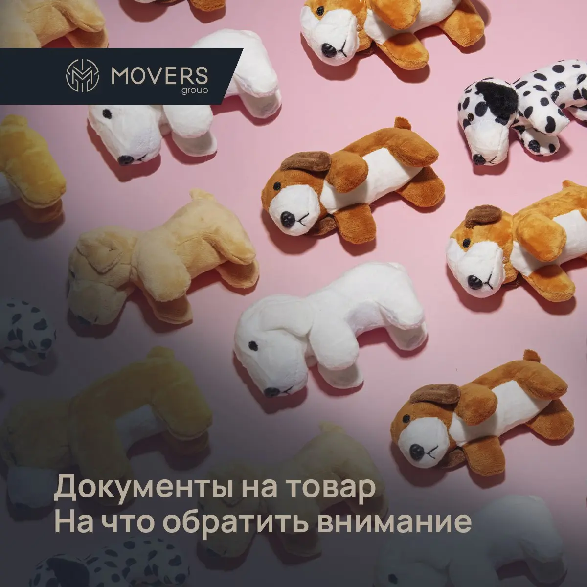 Правильно оформленные документы — залог беспроблемного прохождения таможни | Сетка — социальная сеть от hh.ru