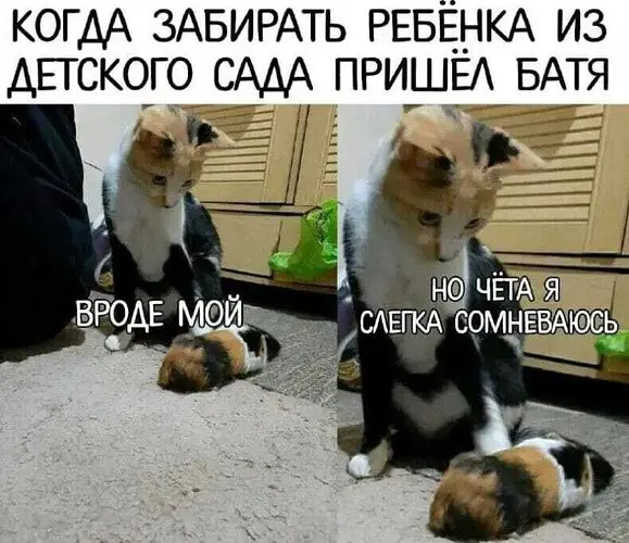 comment image