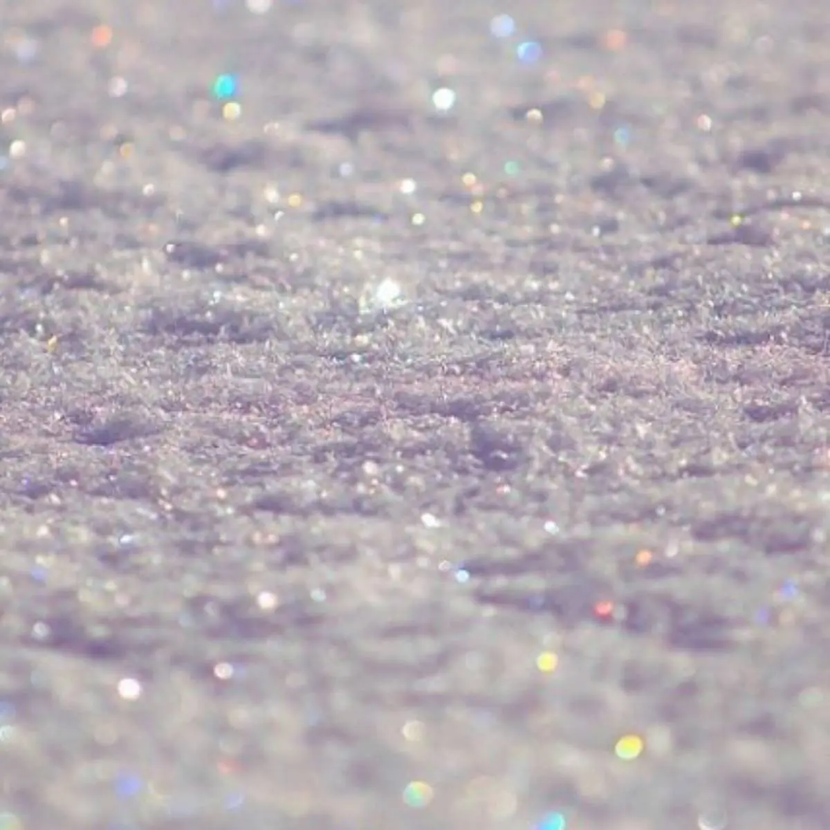 Алена Воронцова