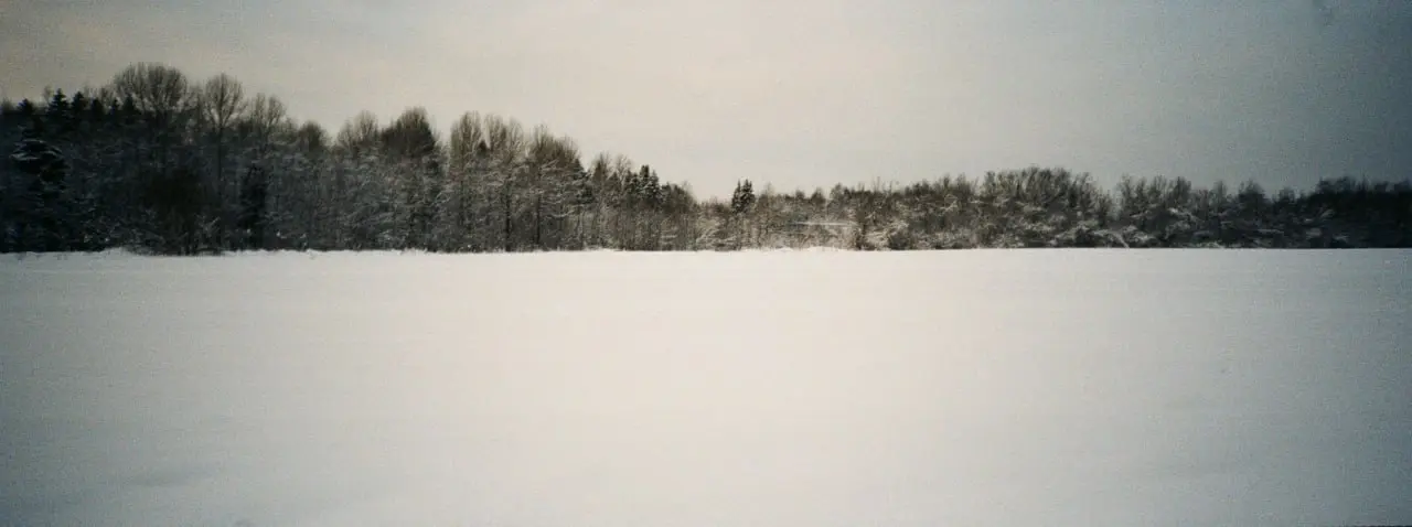 Январь-26 — пленочная серия на Minolta PS 🎞
пленка Kodak ColorPlus
Пленка привлекает меня и принципом работы, и эстетикой — конечно 🙂
Ограниченное количество кадров и отсутствие экрана заставляют смот... | Сетка — социальная сеть от hh.ru