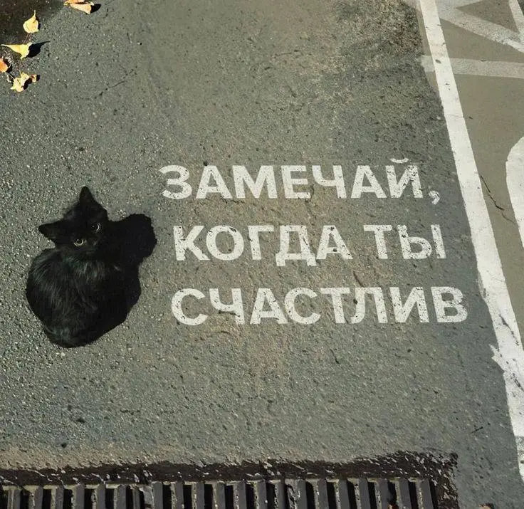 Один из способов улыбнуться
Знаете, когда мы говорим про планирование, мы сразу начинаем думать про какие-то серьезные цели, задачи и так далее.
Недавно понял, что это неправильно | Сетка — социальная сеть от hh.ru