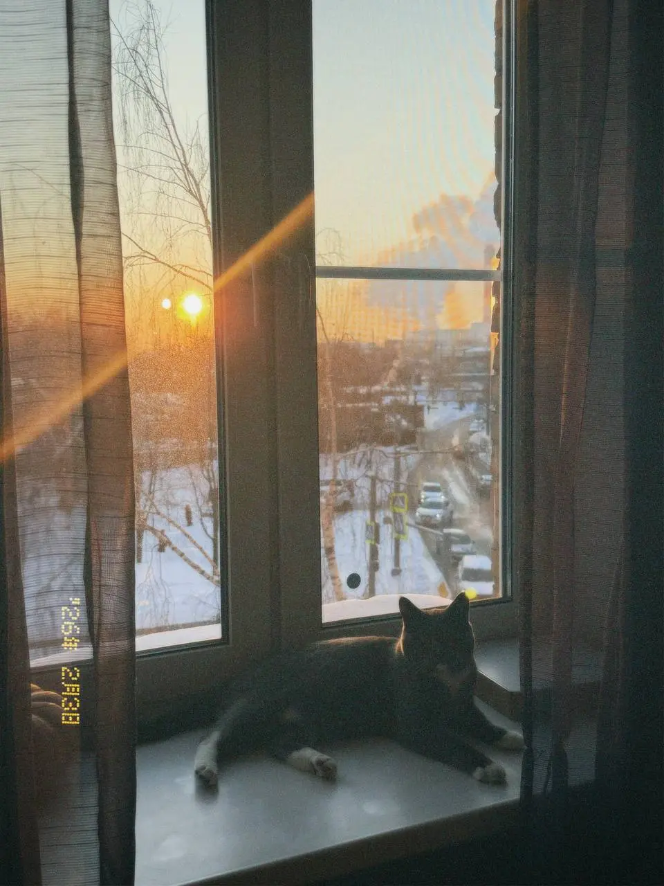 Третий день я дома
Скучала по котикам, но жутко хочется вернуться обратно 😭
Стараюсь войти в московский режим и здесь находить для себя классную атмосферу, жизнь то продолжается и наполнена она классн... | Сетка — социальная сеть от hh.ru