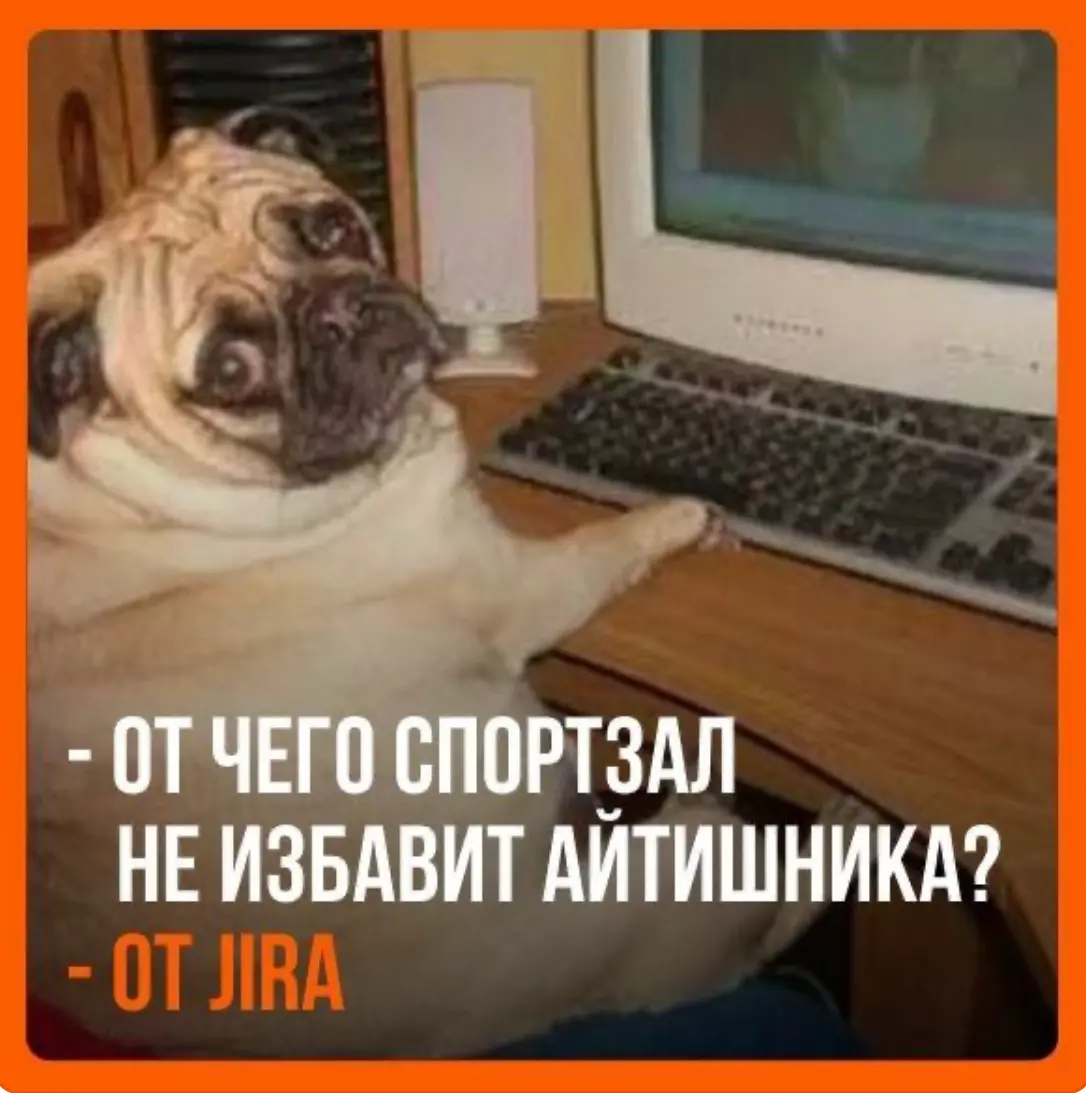 Не подписывайтесь на мой ТГ канал! | Сетка — социальная сеть от hh.ru