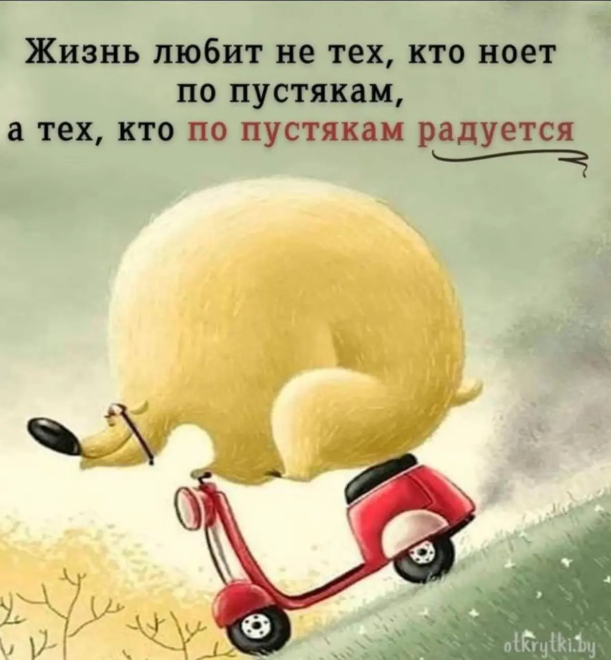 Аналитический разбор психолога: «Я всё делаю правильно, а радости нет» | Сетка — социальная сеть от hh.ru