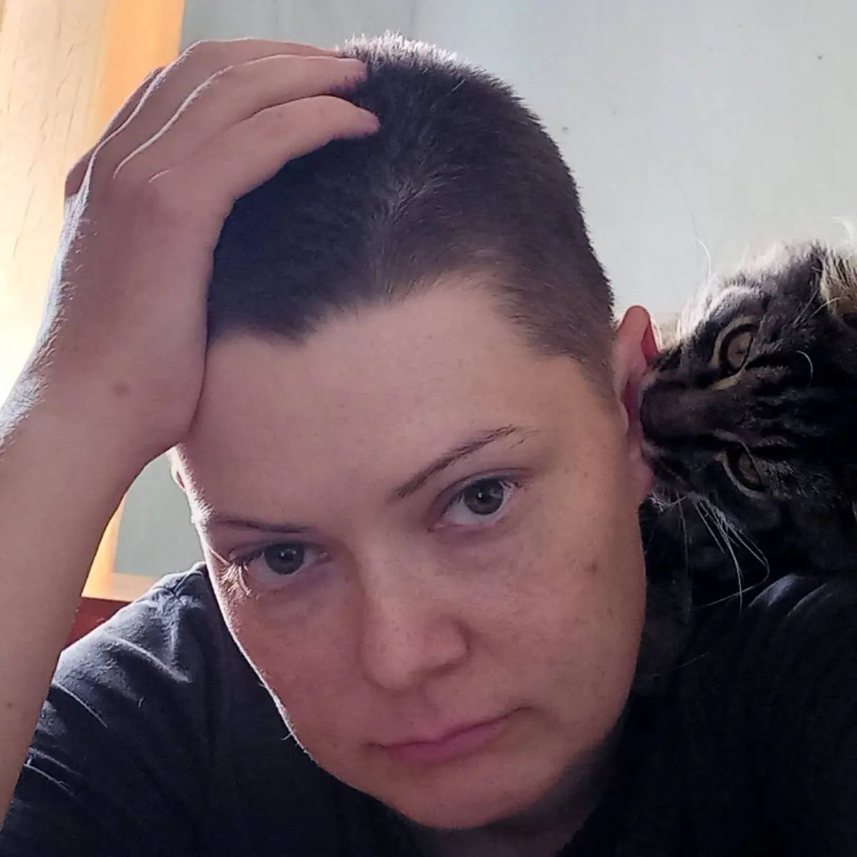 Алекс Триггер | Сетка — социальная сеть от hh.ru