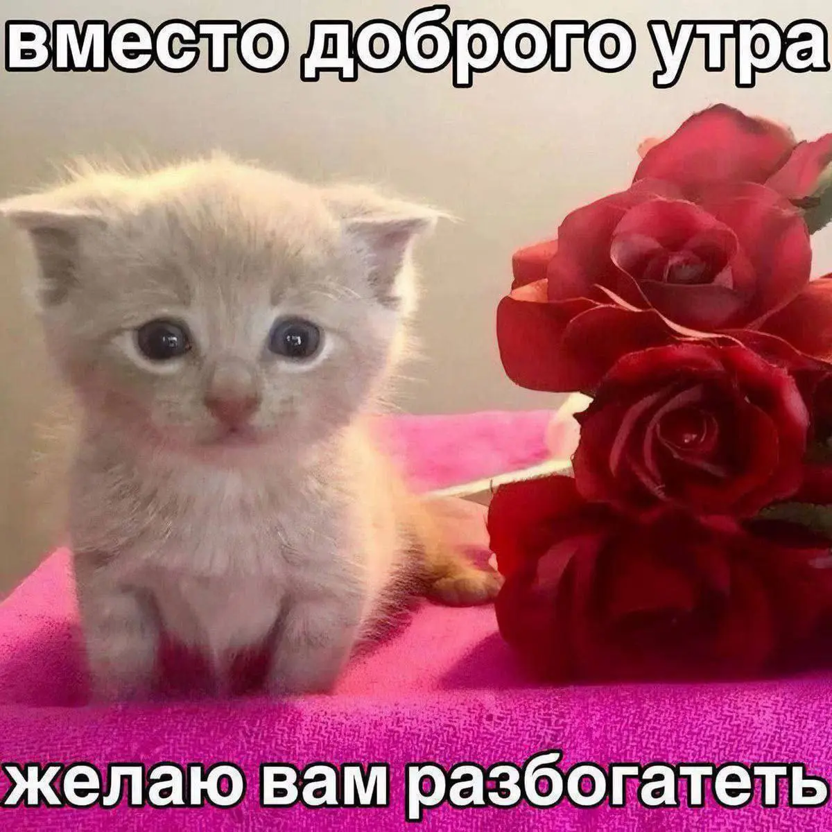 Почему женщинам дарят цветы | Сетка — социальная сеть от hh.ru