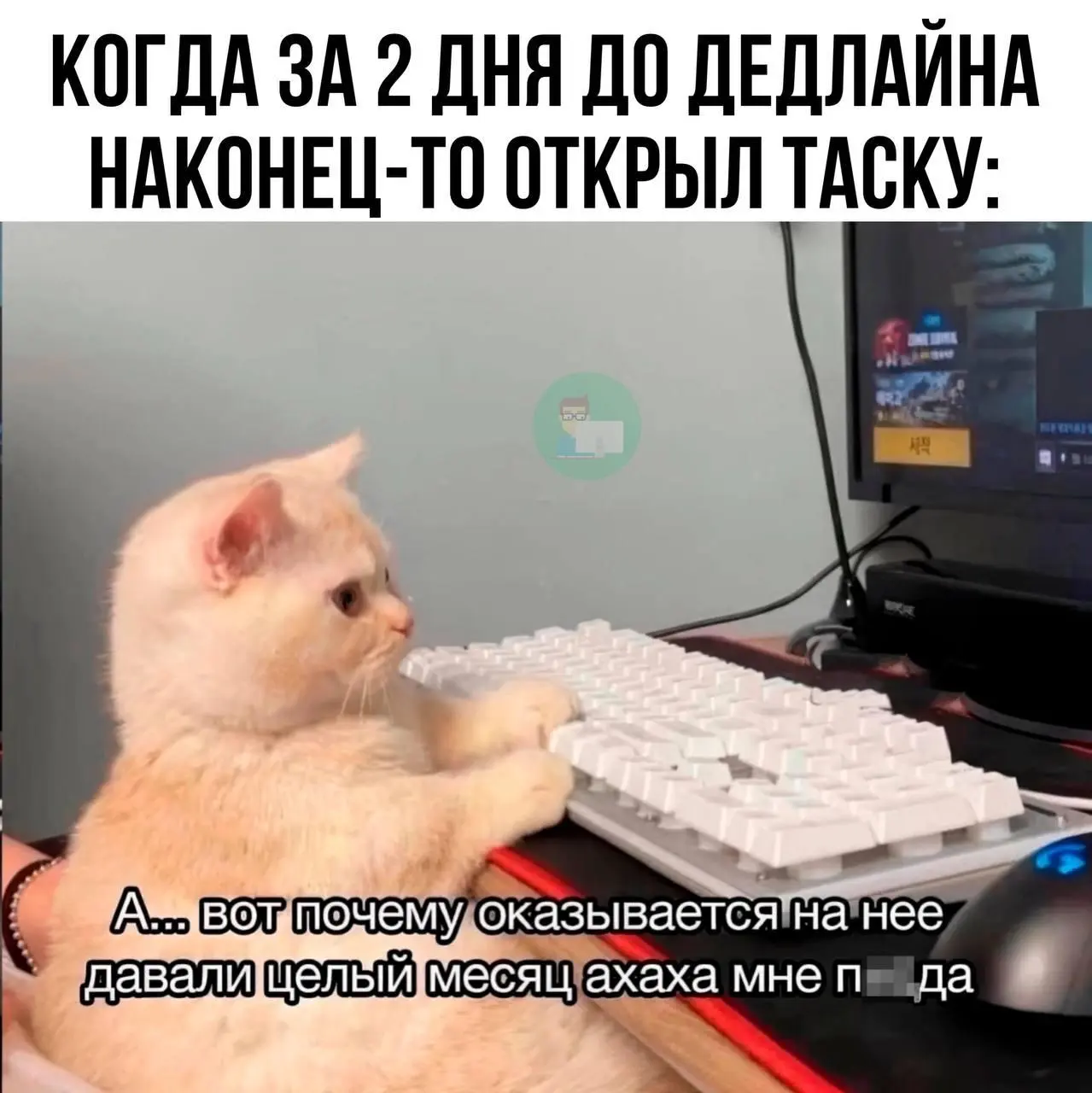 #IT
😂 ПМ 🛍 Другие каналы
В этом посте были ссылки, но мы их удалили по правилам Сетки | Сетка — социальная сеть от hh.ru