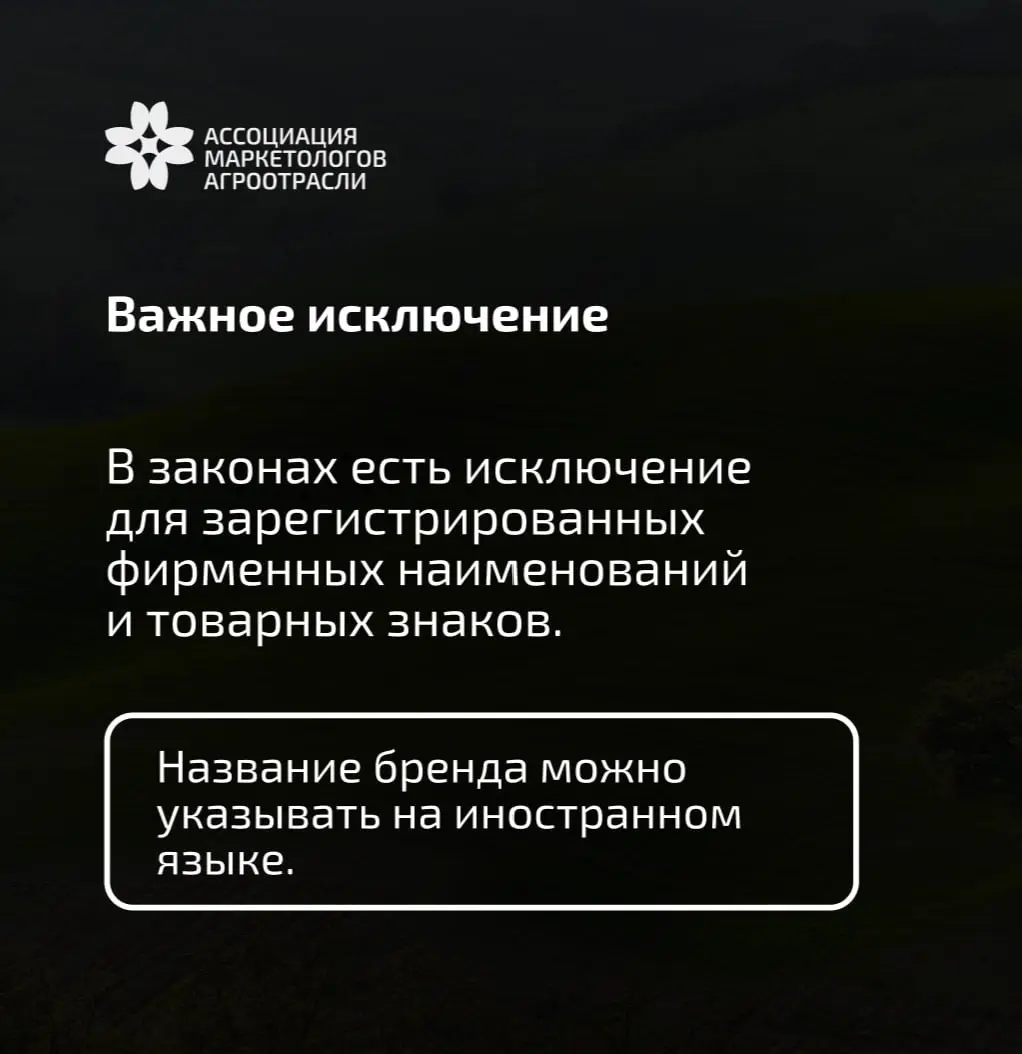 Иностранные слова в рекламе, на вывесках и на сайте. Что меняется с 1 марта 2026?
Сейчас вокруг запрета английских слов много шума | Сетка — социальная сеть от hh.ru