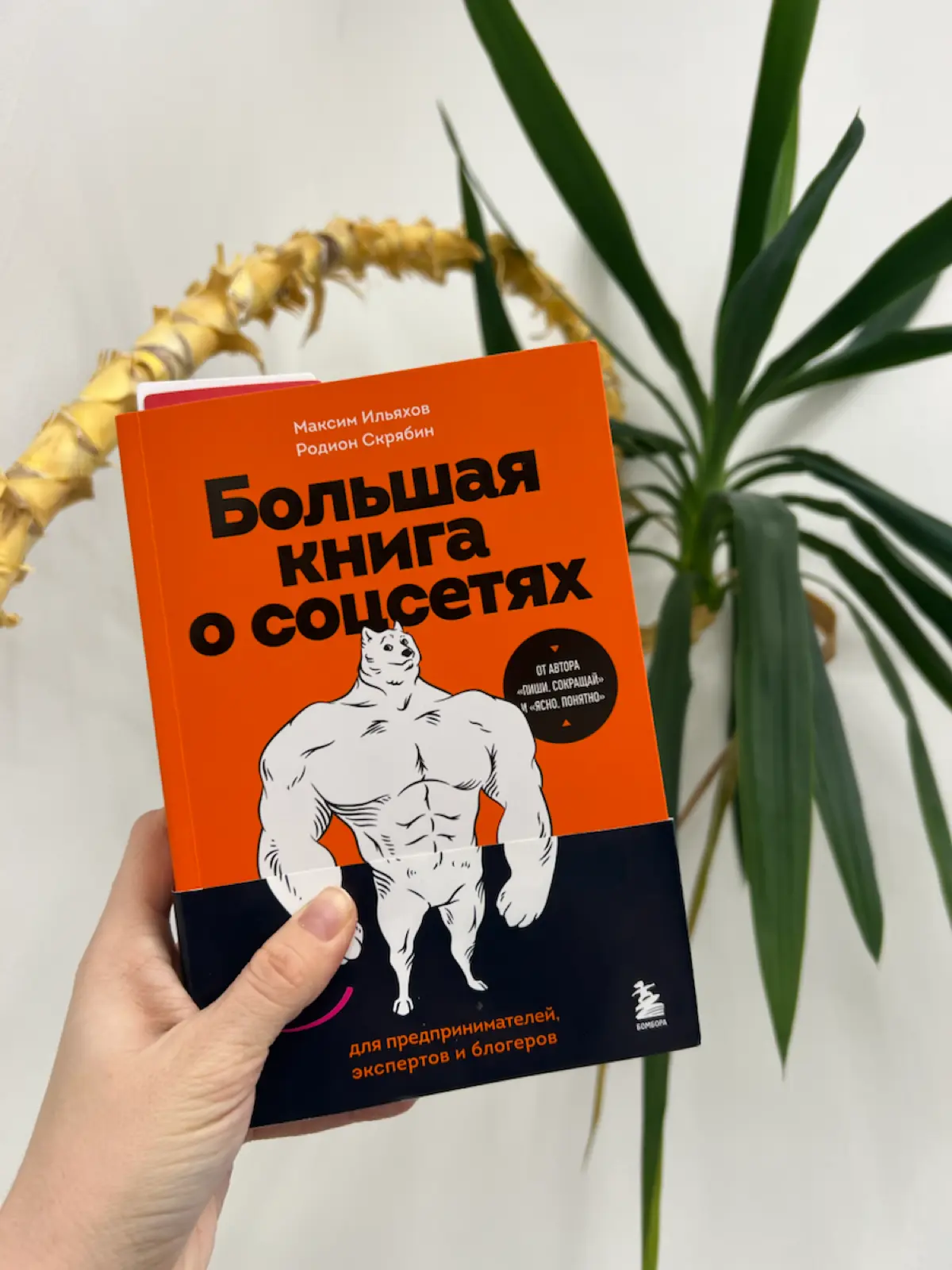Книжные рекомендации. Сет 3 👇 | Сетка — социальная сеть от hh.ru