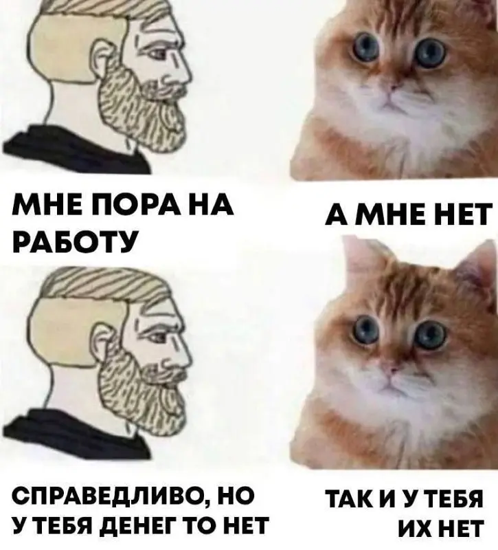 Чьи котики согласны?
Кидайте фотки пушистых безработных в комменты | Сетка — социальная сеть от hh.ru