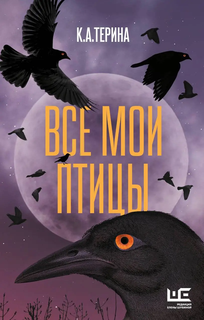 Очень рекомендую. Невероятно талантливо, интересно и увлекательно. Именно такой я и вижу современную фантастику. | Сетка — социальная сеть от hh.ru