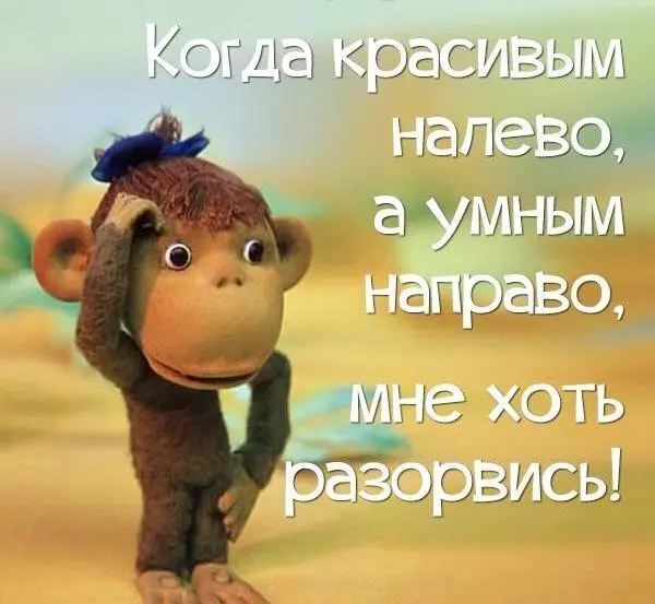 Умные или красивые?!
Чтобы из всего многообразия инструментов выбрать подходящие, нужно определить вектор по которому вы пойдете.
Существует глобально 3 вектора:
1 | Сетка — социальная сеть от hh.ru