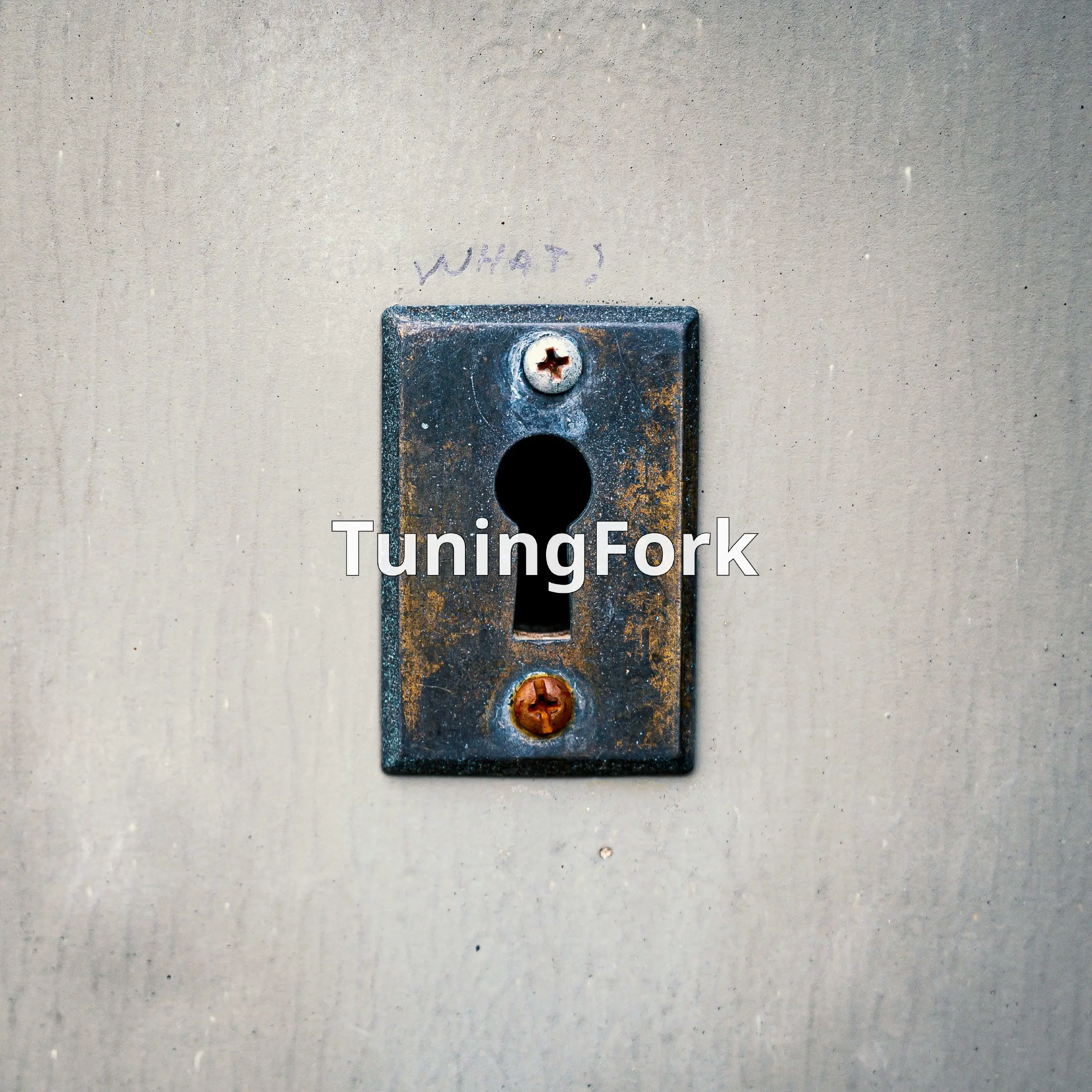 TuningFork — это бесплатный онлайн тюнер для гитары, баса, укулеле, скрипки и многих других инструментов | Сетка — социальная сеть от hh.ru