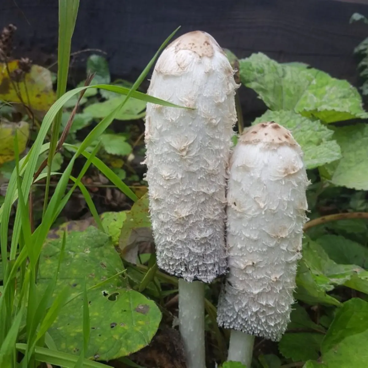 MARFORALL - маркетинг для всех