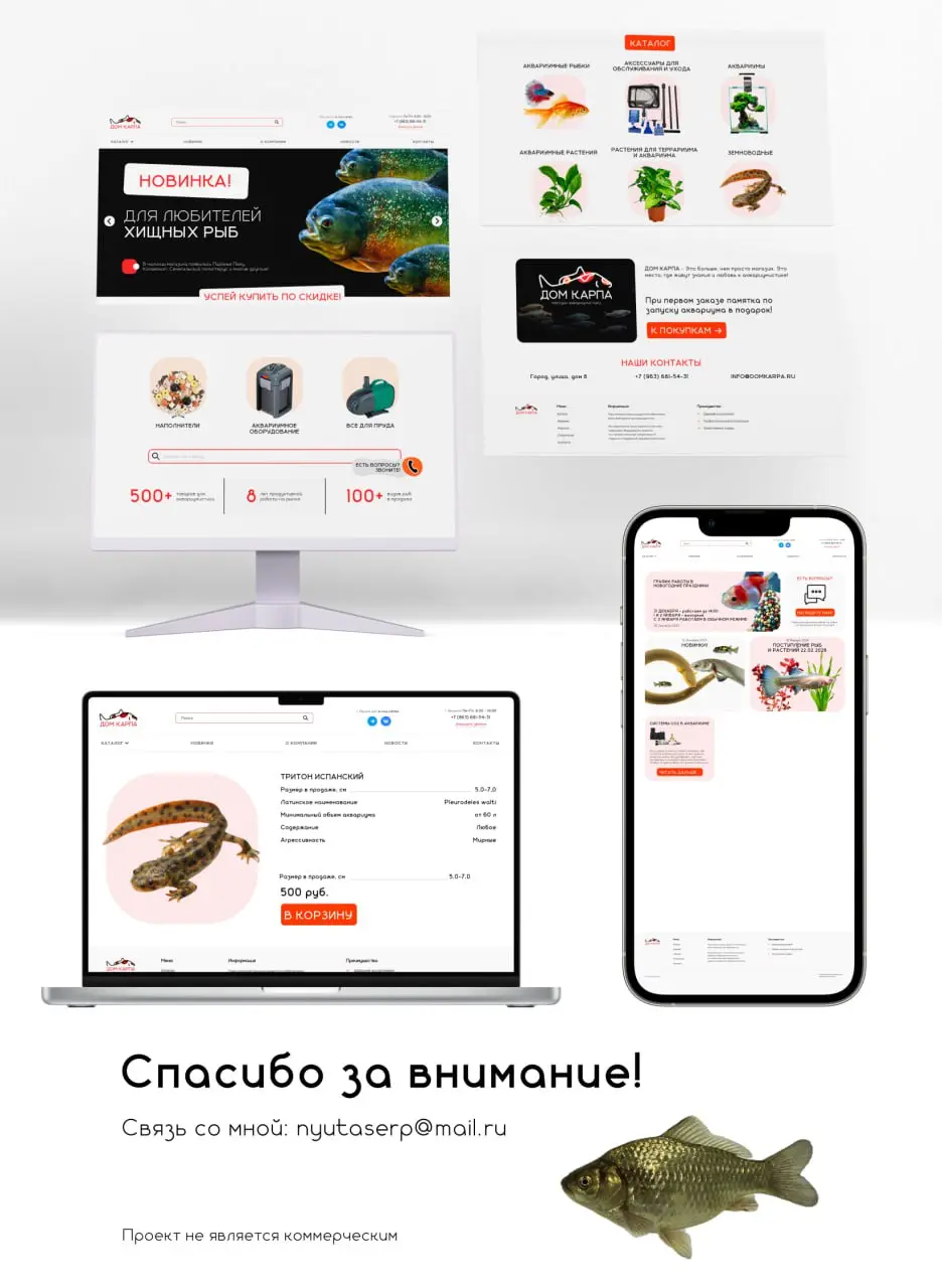 🐟 ТАААК.... Завершаем проект с рыбками!
Теперь вы можете взглянуть на него тут: https://www.behance | Сетка — социальная сеть от hh.ru