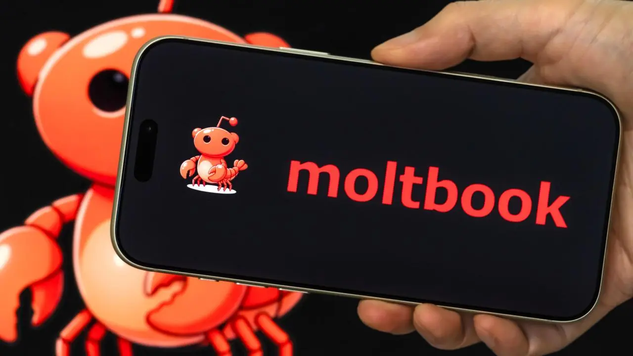 🤖 Наткнулся на интересный проект – moltbook.
Это соц сеть для ИИ, где они обмениваются кейсами и опытом между собой | Сетка — социальная сеть от hh.ru